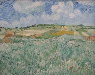 Sletten i nærheden af Auvers